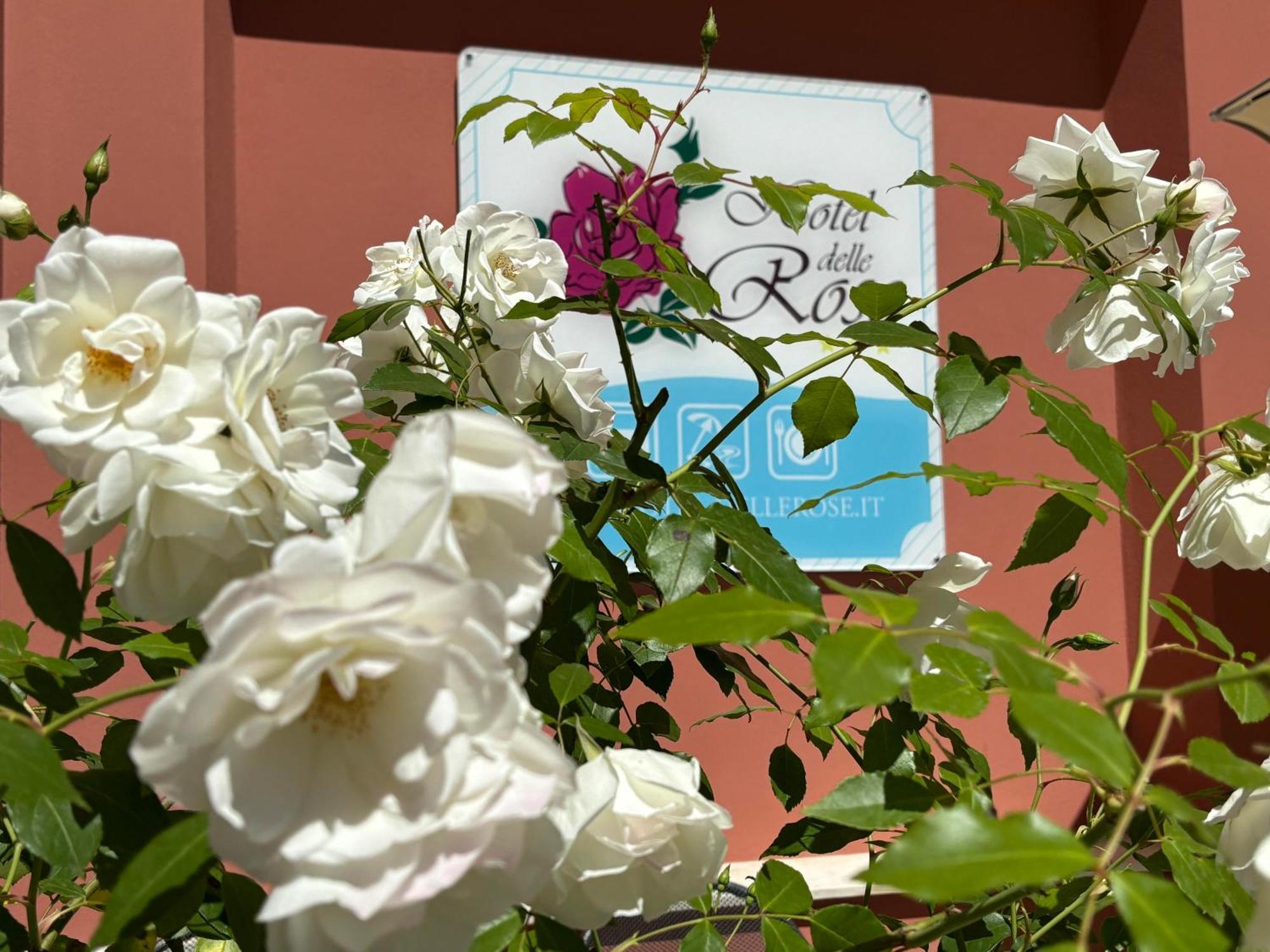Hotel Delle Rose San Bartolomeo Al Mare Exterior photo